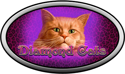 Diamond Cats